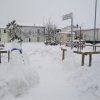 la grande nevicata del febbraio 2012 079